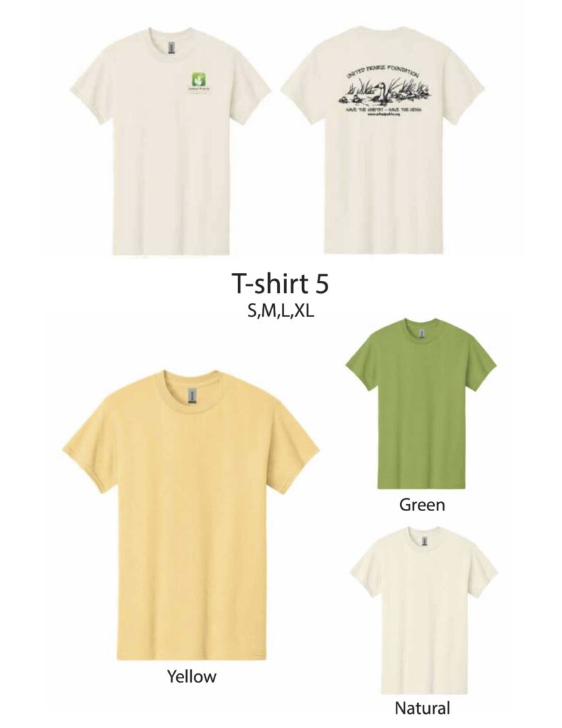Other T-shirts